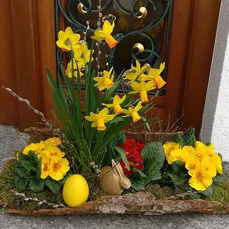 شقة Schwarzwaelder *