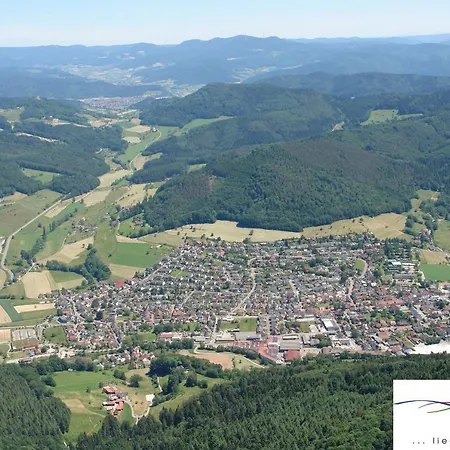 Schwarzwaelder * Seelbach (Baden-Wurttemberg)