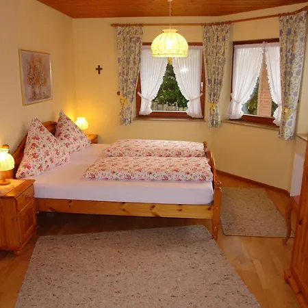 Schwarzwaelder Apartment Seelbach (Baden-Wurttemberg)