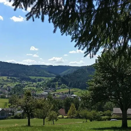 Schwarzwaelder Apartment Seelbach (Baden-Wurttemberg)