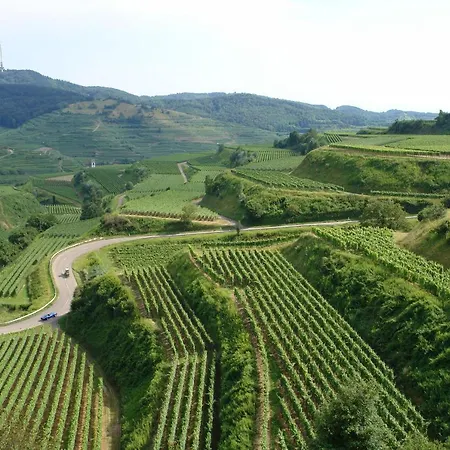 Schwarzwaelder Lägenhet *