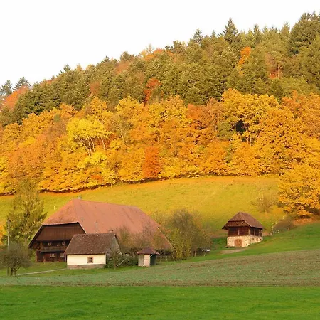 Διαμέρισμα Schwarzwaelder Seelbach (Baden-Wurttemberg)