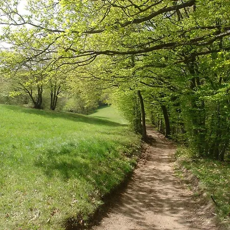 Lägenhet Schwarzwaelder