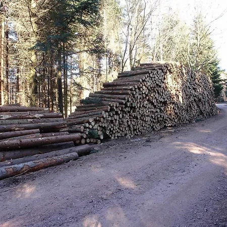 Schwarzwaelder شقة *