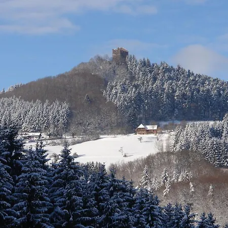 Lägenhet Schwarzwaelder Seelbach (Baden-Wurttemberg)