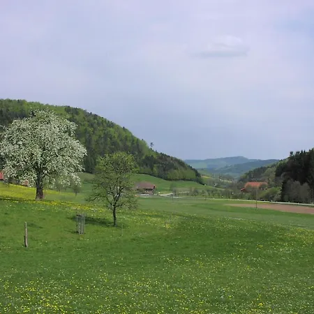 Schwarzwaelder Seelbach (Baden-Wurttemberg)