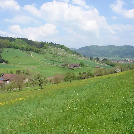 Schwarzwaelder Lägenhet Seelbach (Baden-Wurttemberg)